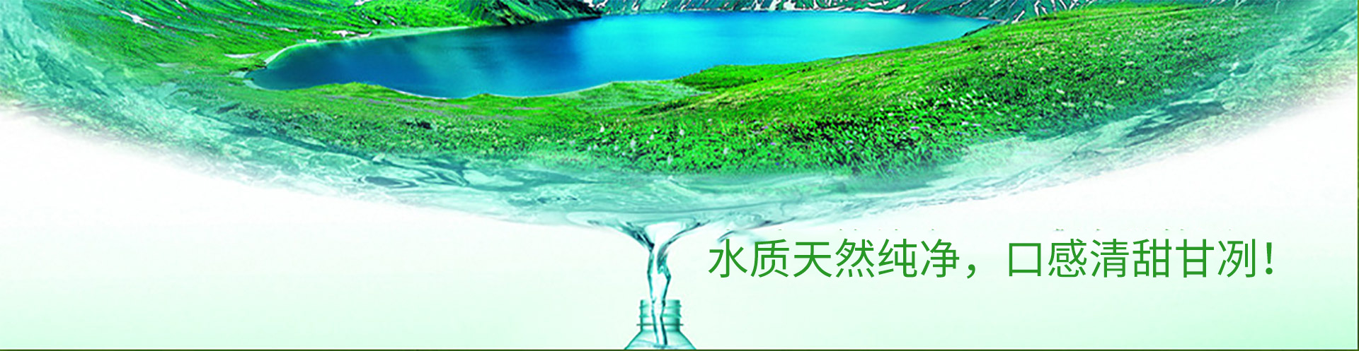 󅢣W(xu)Panax quinquefolius˅һNַQ(chng)V|˅셢